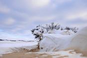 loonse en drunense duinen 2-2021 5502